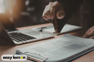 lemon title explanation on DMV vehicle document